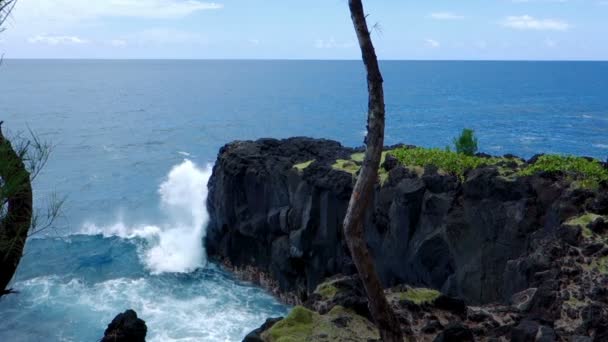 Linii brzegowej, Ile de la Reunion — Wideo stockowe