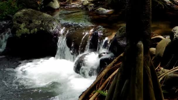 Водопад Иль-де-ла-Реюньон — стоковое видео