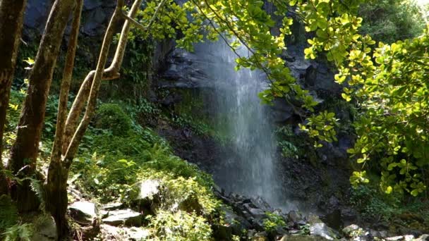 Waterfall, Ile De La Reunion — Stock Video