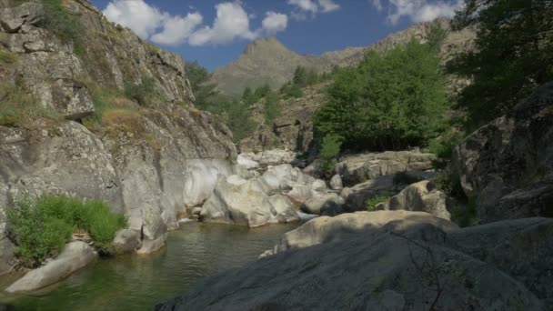 Bäck i Restonica Valley, zoomar och kastruller, Korsika — Stockvideo