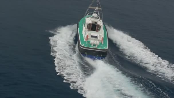 Pilot boot leidt veerboot, Calvi, Corsica — Stockvideo