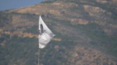 Korsika Flag, Fransa