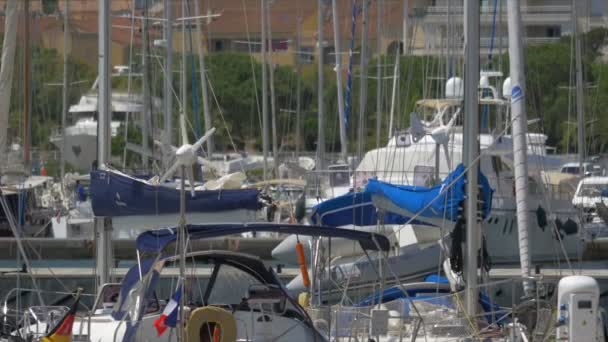 Calvi Harbor, strandpromenaden, Corsica — Stockvideo