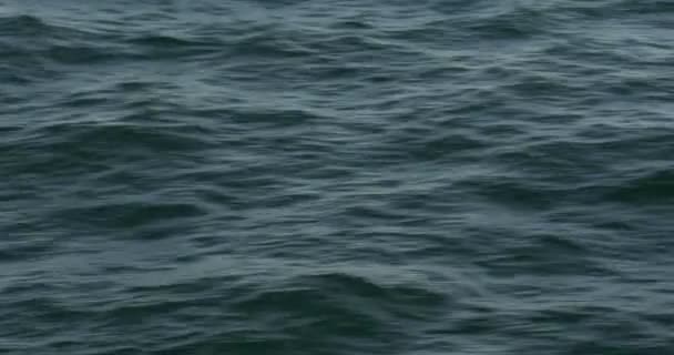 Літаючи над океаном, формуються хвилі, блищить і прокидається — стокове відео