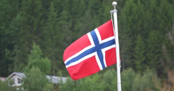 4k, vlajka Norska, lesní — Stock video