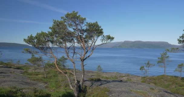 4k, Νορβηγία, έπος θέα στο φιόρδ — Αρχείο Βίντεο
