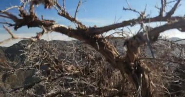 4k; Roque De Las Muchachos, La Palma görkemli manzaraya