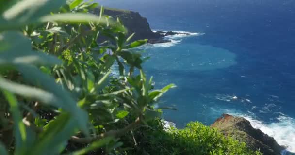 4k, Caleta De La Hoya Beach, La Palma üzerinden Jib görünüm — Stok video