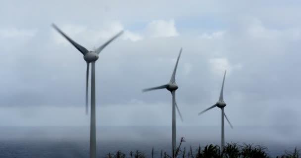 4K, 3 Molinos de viento, Turbinas eólicas, Generadores eólicos — Vídeo de stock