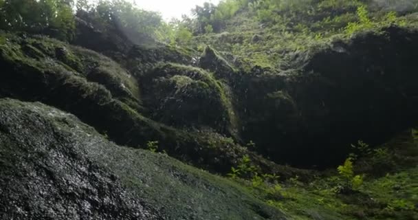 4k, Cascada De Los Tilos, vattenfall på La Palma, Kanarieöarna — Stockvideo