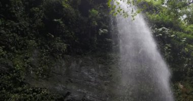 4k, Cascada De Los Tilos, La Palma, Kanarya Adaları üzerinde şelale