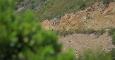 4k, bisikletçileri, Campervans ve mobil evler Corsica, yerel kamera çıktı