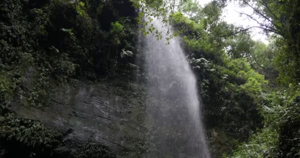 4k, Cascada De Los Tilos, vattenfall på La Palma, Kanarieöarna — Stockvideo