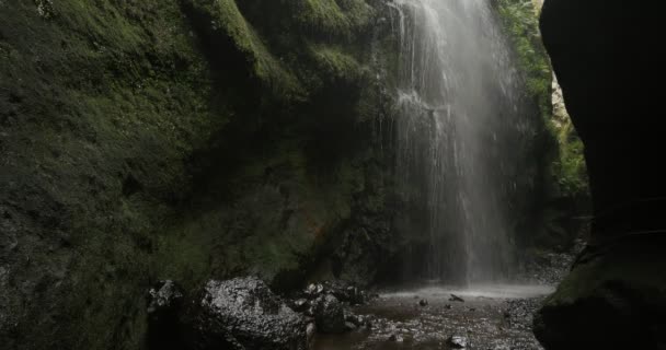 4K, Cascada De Los Tilos, Waterfall on La Palma, Canaries — Stock Video