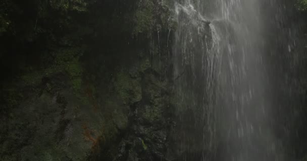 4k, cascada de los tilos, wasserfall auf la palma, kanarien — Stockvideo