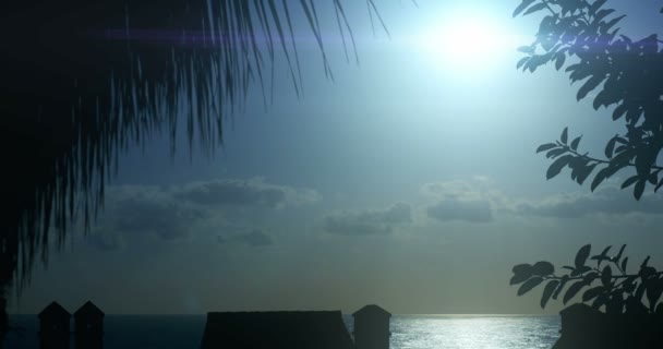 4К, утреннее солнце с пальмами спереди — стоковое видео