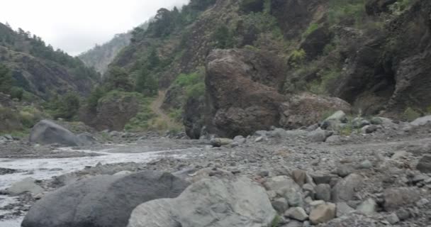 4k, Barranco De Las Angustias, La Palma, kanaryalar — Stok video