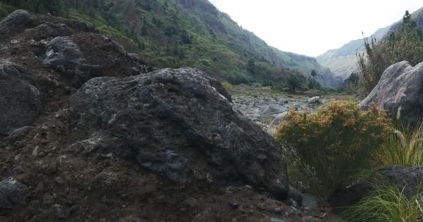 4k, Barranco De Las Angustias, La Palma, Canarische eilanden — Stockvideo