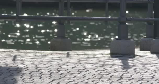 4k, Sparkles en glitters op een pier — Stockvideo