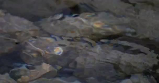 4 k、流れると水しぶき水をクローズ アップ — ストック動画