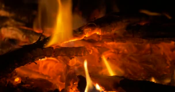 4k Lagerfeuer, Lagerfeuer, Kamin — Stockvideo