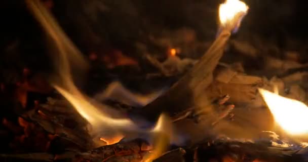 4K Bonfire, Feu de camp, Cheminée — Video