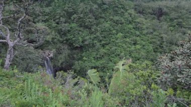 Şelale Black River Gorges Nationalpark, Mauritius
