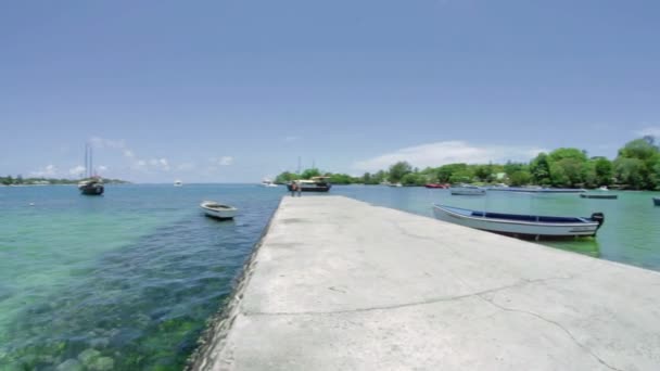 Hermosas playas en el paraíso, Mauricio — Vídeo de stock