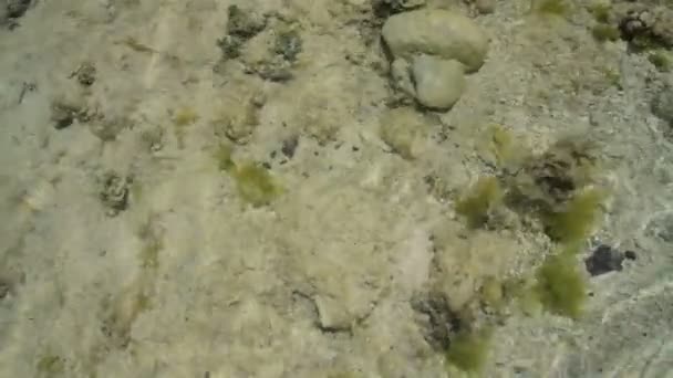 Trous 補助 Biches モーリシャスで水面 — ストック動画