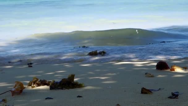 美丽的海滩，多孔-奥克斯-比奇斯毛里求斯 — 图库视频影像