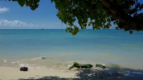 Vacker strand, Trous-Aux-Biches, Mauritius — Stockvideo