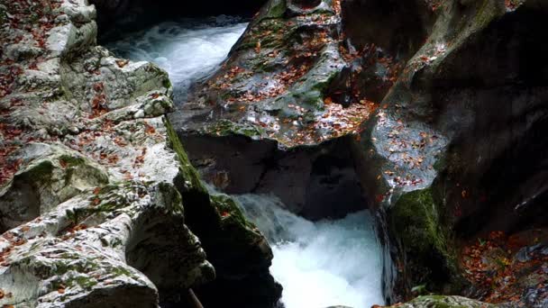 Garganta de Savica, Eslovenia — Vídeo de stock