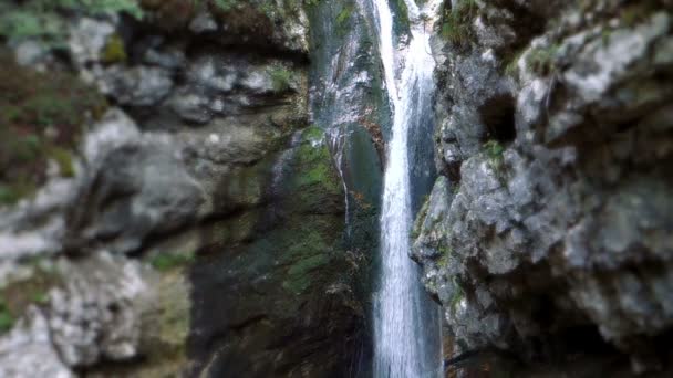 Waterval aan Savica Gorge, Slovenië — Stockvideo