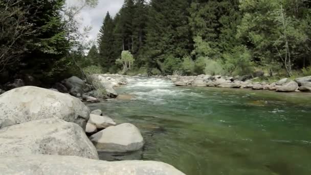 Vue sur la rivière Boka, Slovénie — Video