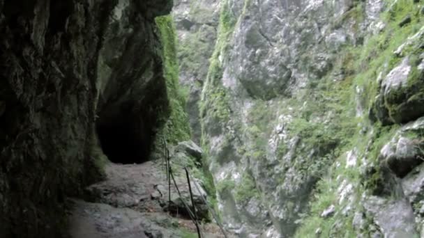 Tolmin gorge, Slovenya — Stok video