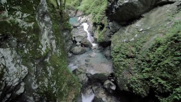 Wąwóz Tolmin, Słowenia — Wideo stockowe