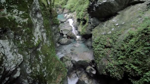 Tolmin gorge, Slovenya — Stok video