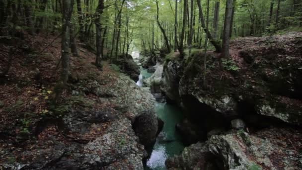 Savica Gorge, Slovenia — Stock Video