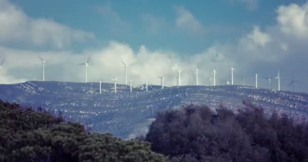 Spousta větrné elektrárny poblíž Tarifa, Andalusie, Španělsko (časová prodleva) — Stock video