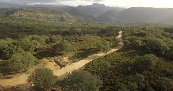 4K Aerial, Volo su alberi, foreste e colline, Andalusia, Spagna — Video Stock