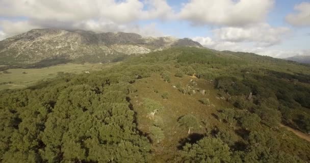 4k Aerial, Ağaçlar, ormanlar ve tepeler üzerinde uçuş, Endülüs, İspanya — Stok video