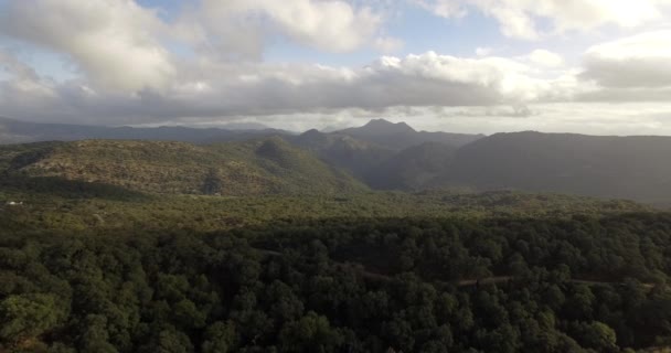 4K Aerial, Полет над деревьями, лесами и холмами, Андалусия, Испания — стоковое видео