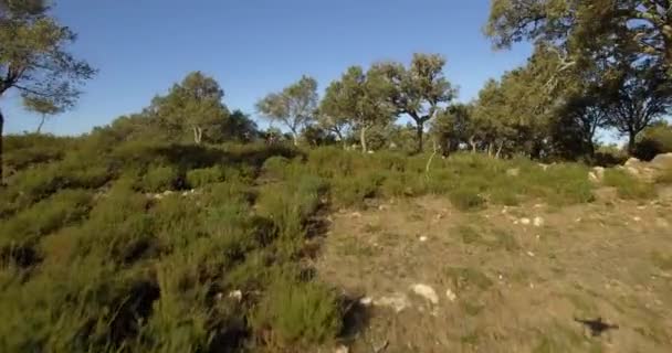 4K Aerial, Vol au-dessus des arbres, des forêts et des collines, Andalousie, Espagne 