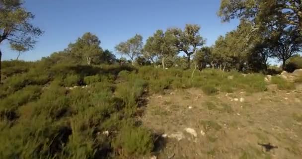 4K aerial, Lot nad drzewami, lasami i wzgórzami, Andaluzja, Hiszpania — Wideo stockowe