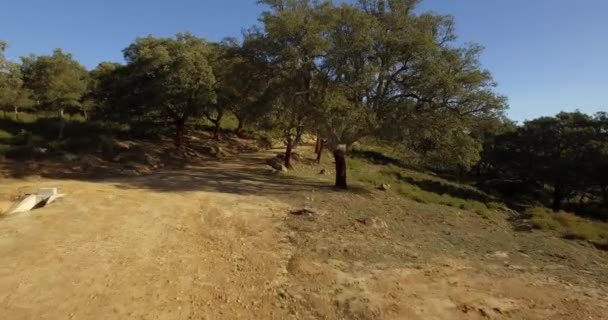 4k antenne, vlucht over bomen, bossen en heuvels, Andalusië, Spanje — Stockvideo