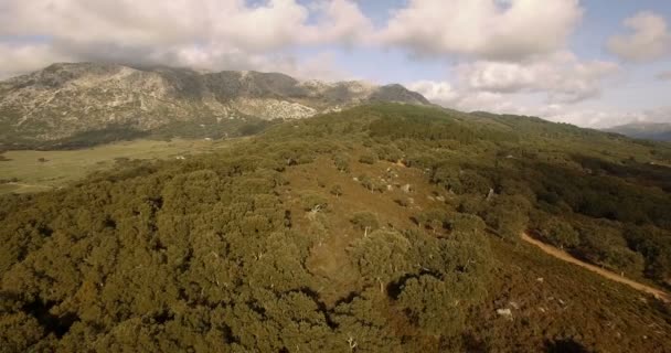 4K-antenn, flygning över träd, skogar och kullar, Andalusien, Spanien — Stockvideo