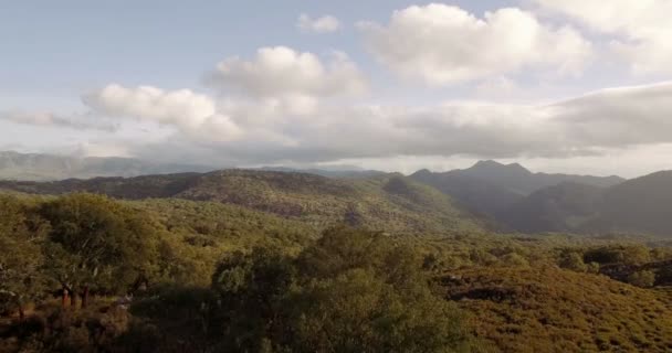 4k antenne, vlucht over bomen, bossen en heuvels, Andalusië, Spanje — Stockvideo