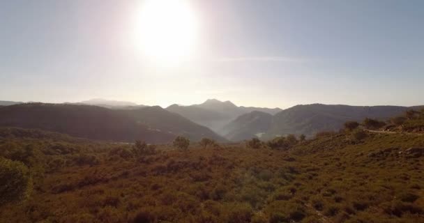 4k antenne, vlucht over bomen, bossen en heuvels, Andalusië, Spanje — Stockvideo