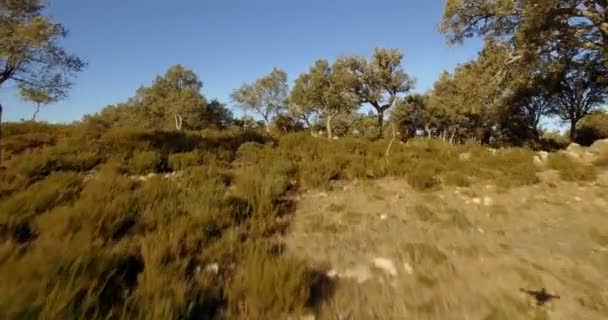 4k antenne, vlucht over bomen, bossen en heuvels, Andalusië, Spanje — Stockvideo