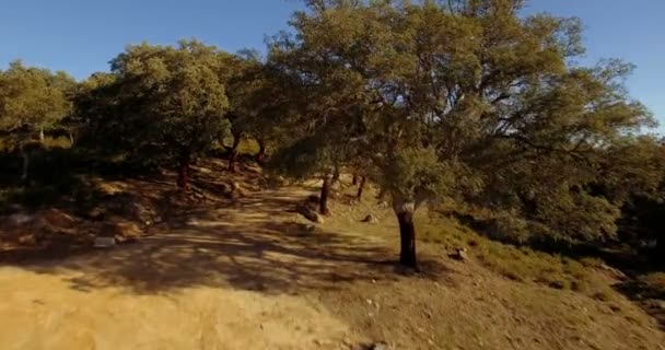 4K aerial, Lot nad drzewami, lasami i wzgórzami, Andaluzja, Hiszpania — Wideo stockowe